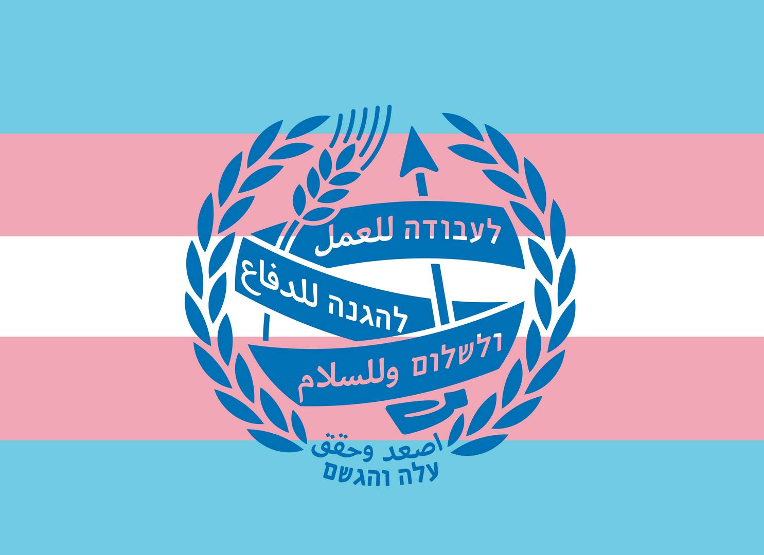 דגל הגאווה הטרנסקסואלית  Transgender flags עם/בלי לוגו