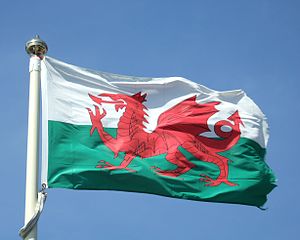 דגל ויילס Wales flags