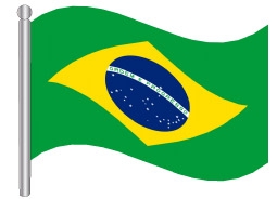 דגלון ברזיל -Brazil flag