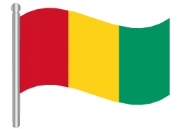 דגלון גינאה - Guinea flag
