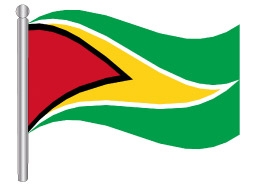 דגלון גיאנה - Guyana flag