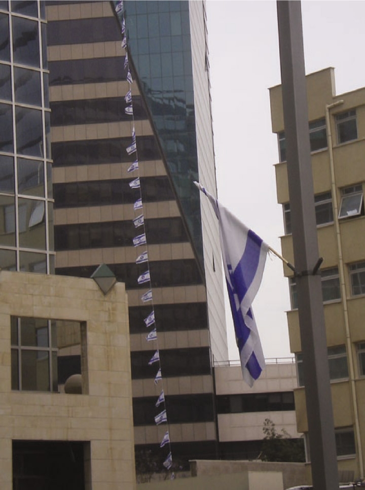 שרשרת דגלי ישראל מבד 50 מ' לפי מידה