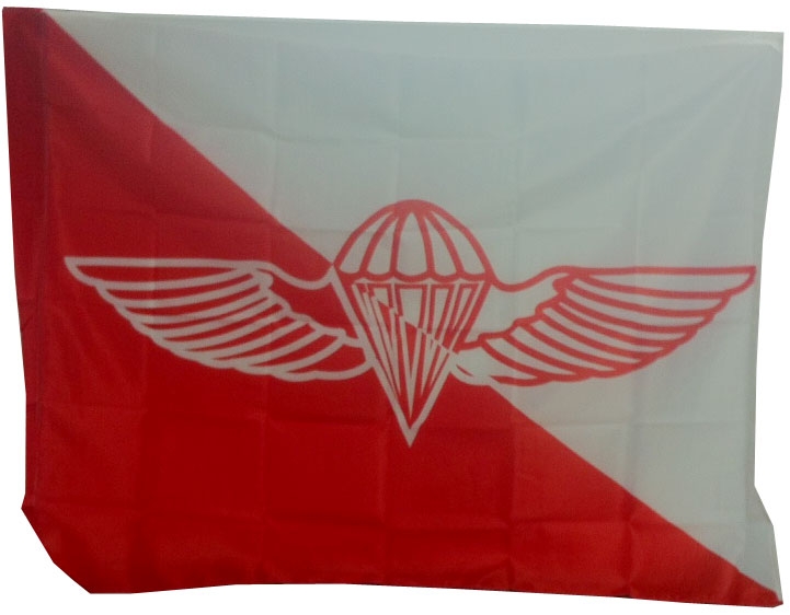 דגל חטיבת הצנחנים
