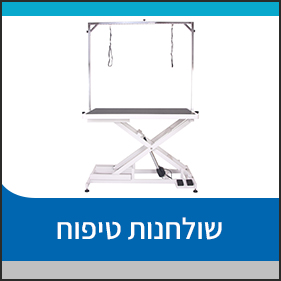 שולחנ ת-טיפוח